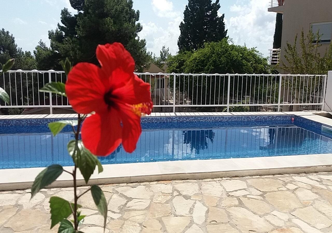 Apartment Tijana Bar Εξωτερικό φωτογραφία
